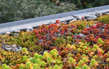 the cost of Locking Stumps green roof installation