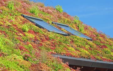 Locking Stumps living roof systems